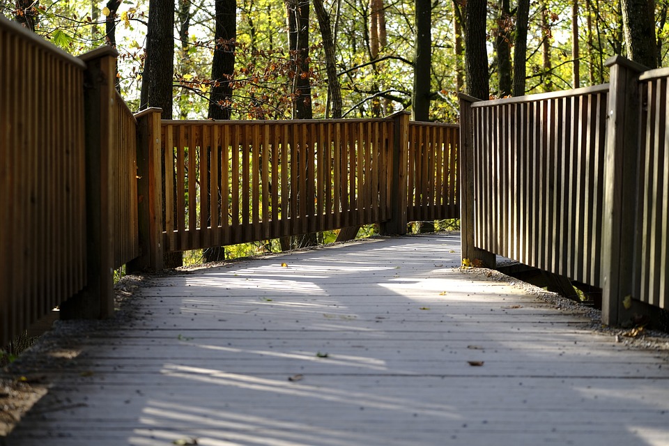 Bend, Don’t Break: Building Career Resilience in a World That Won’t Slow Down