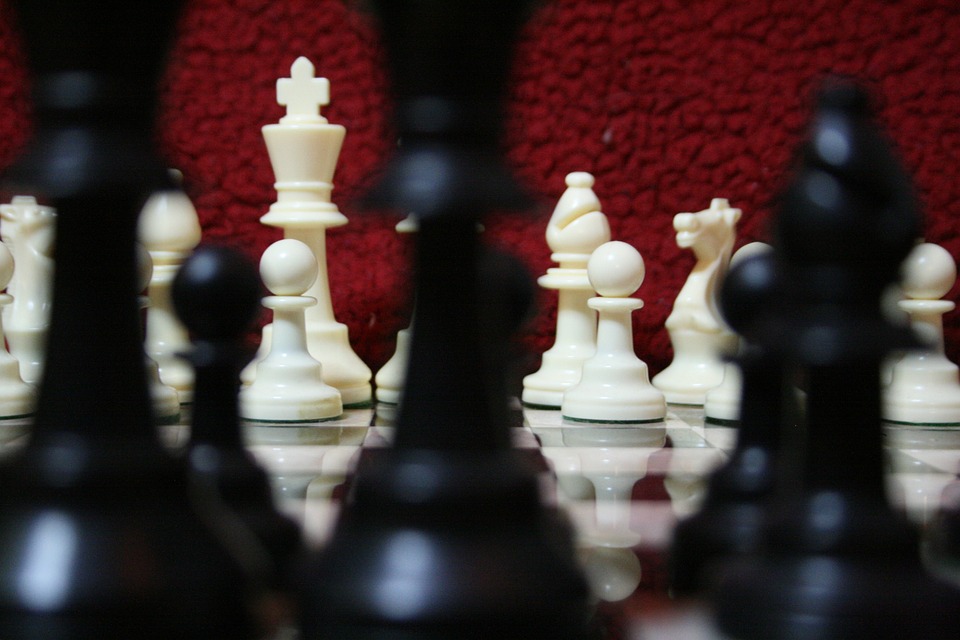 From Surviving to Thriving: The Leadership Skills Required to Turn Crisis into Opportunity