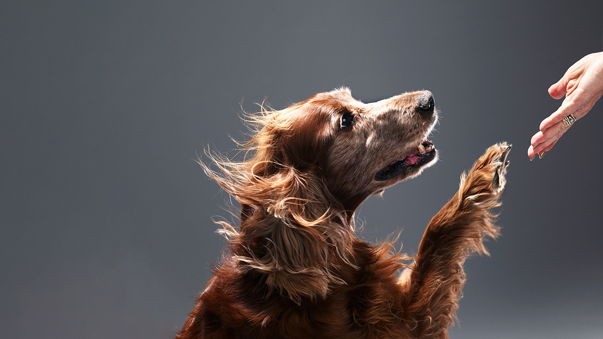 Small Gestures Matter