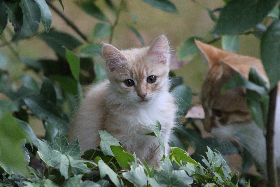 The Heart of the Matter: How Jane Smith’s Passion Drives Their Work