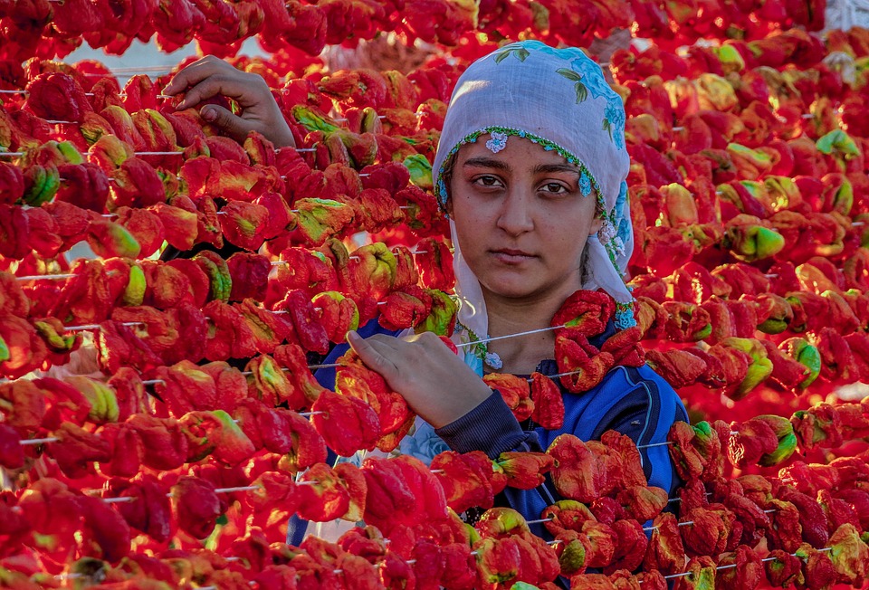 From Information to Insight: How Technology is Helping Leaders Make Better Decisions