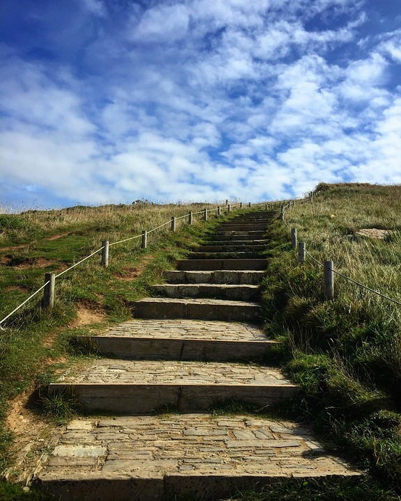 The Rise of the ‘Superstar’ Freelancer: What It Takes to Succeed in the Gig Economy