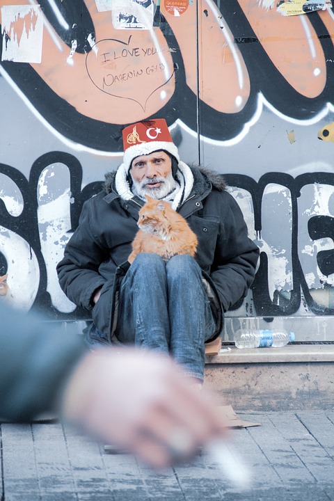 Case study: A non-profit organization that successfully transitioned to a for-profit model to scale its impact.