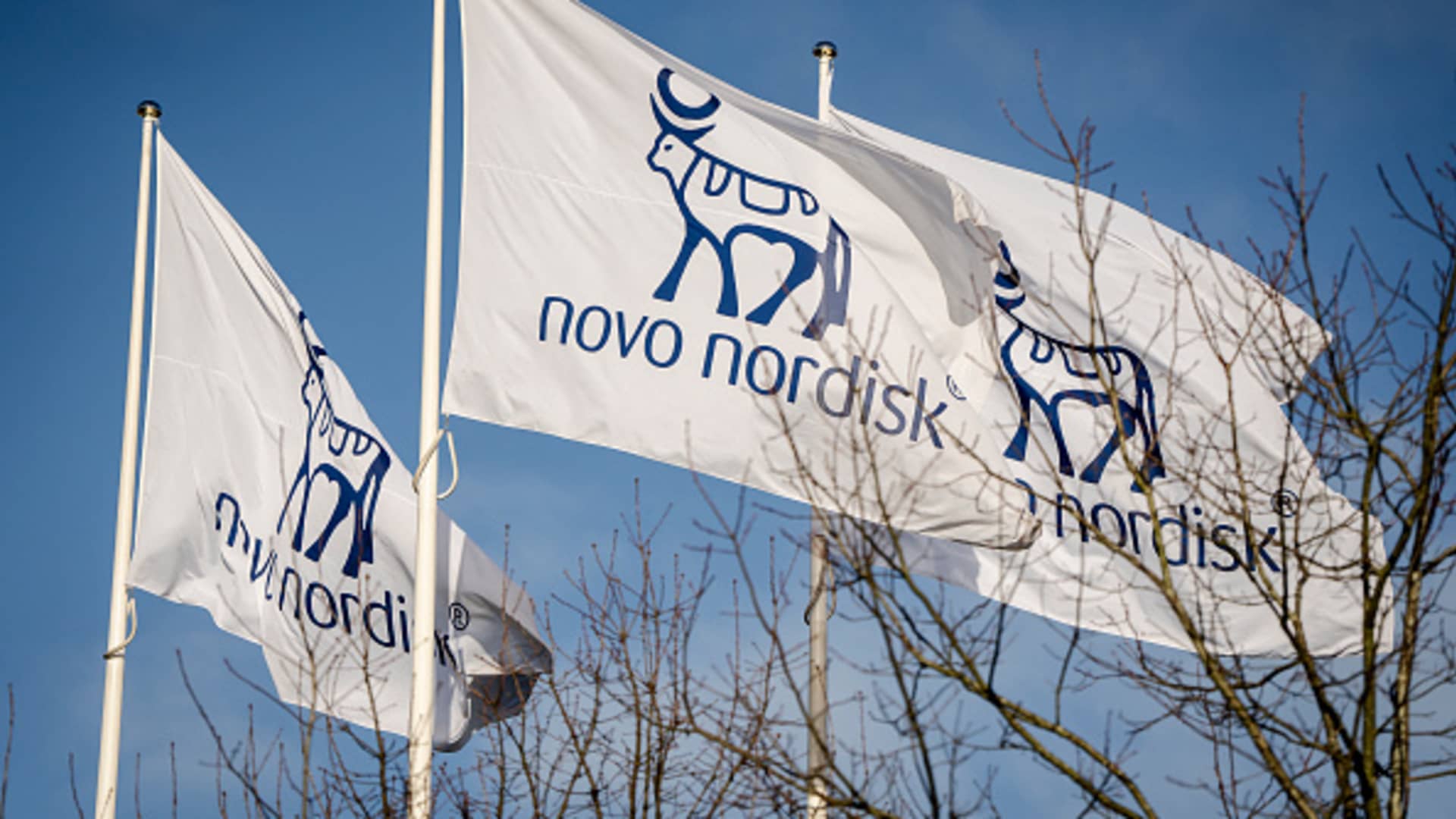 Novo Nordisk’s Diabetes Pill Rybelsus Slashes Cardiovascular Risk