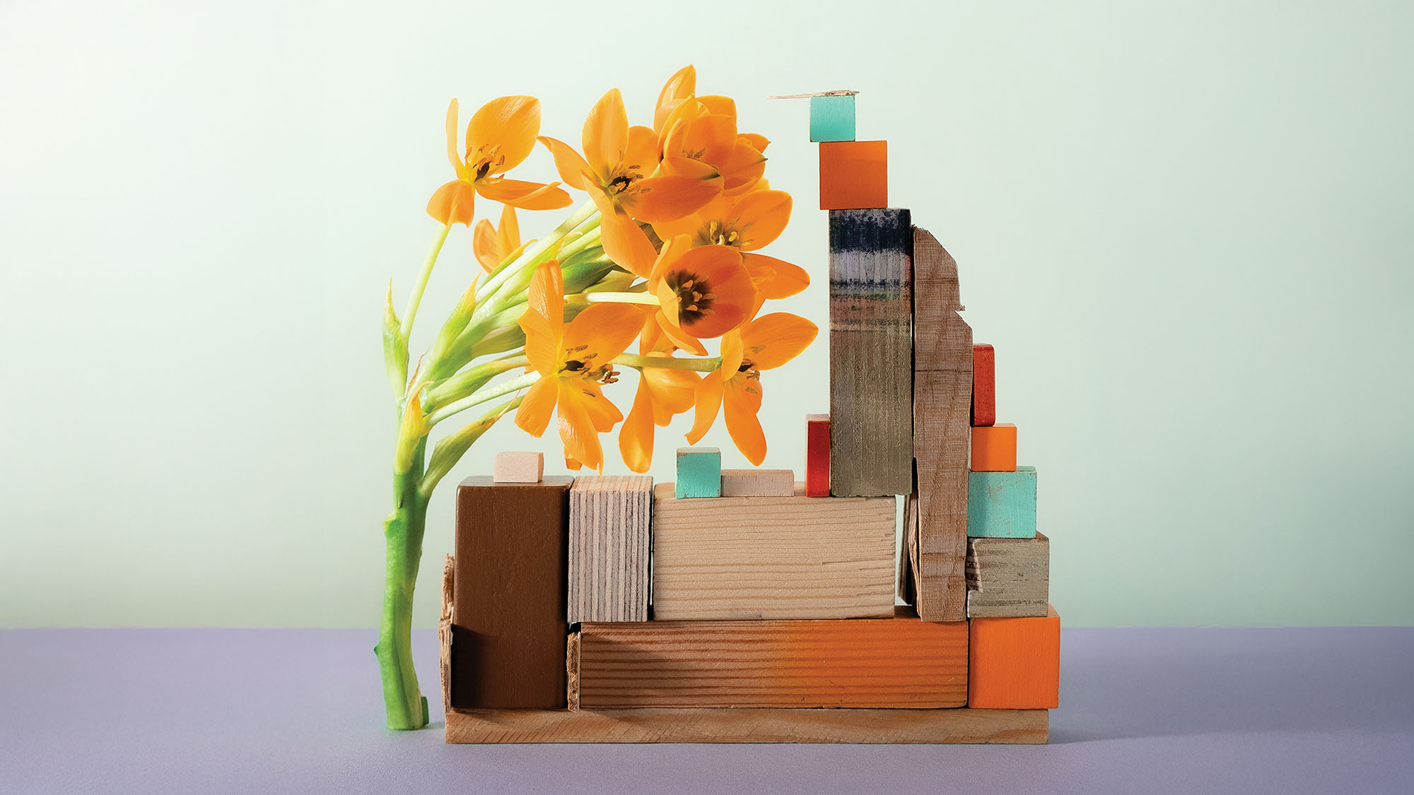 Identifying Overlooked Growth Chances for Your Platform