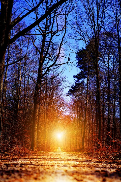 Managing Millennials: Tips for Success