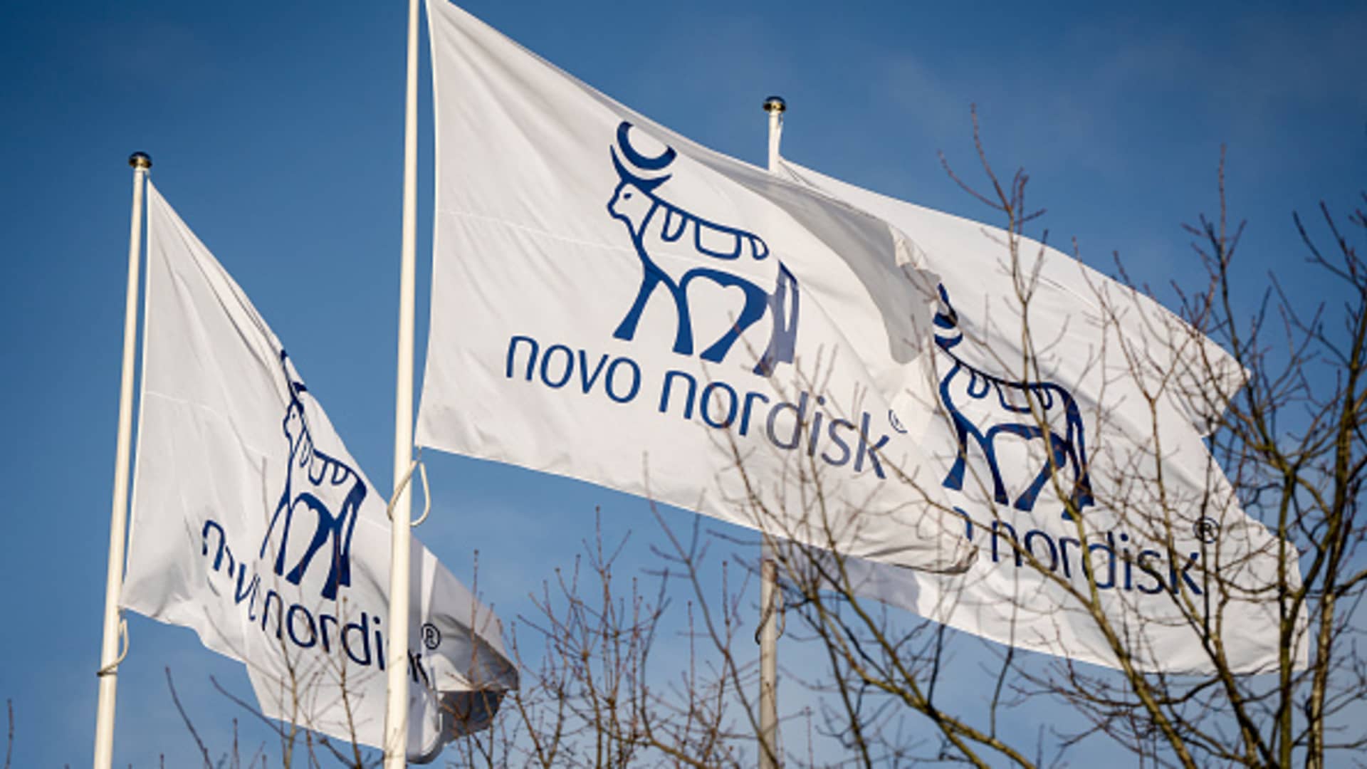 Novo Nordisk Wins Case Against Compounded Wegovy and Ozempic Drugs