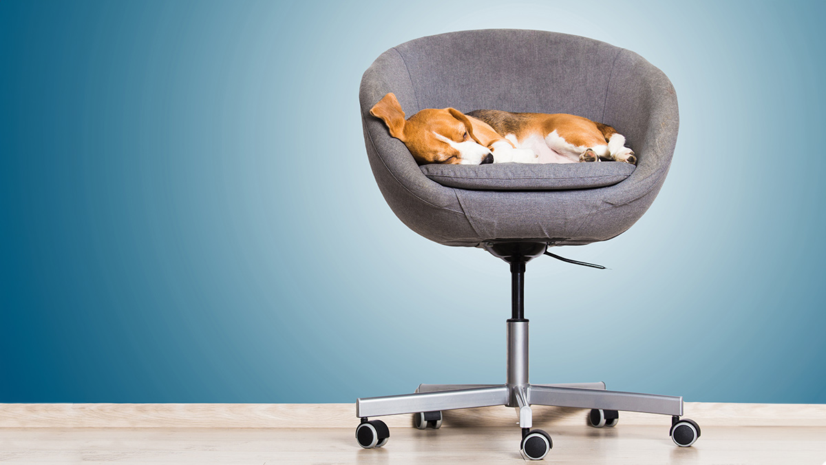 The Invisible Weight of Mental Labor