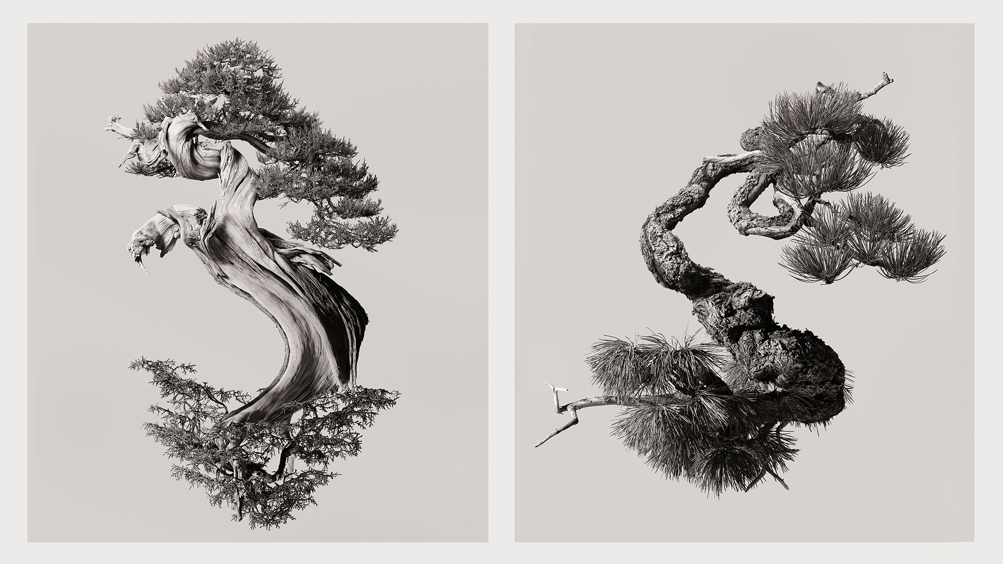 Sustainable Business-Model Transformation