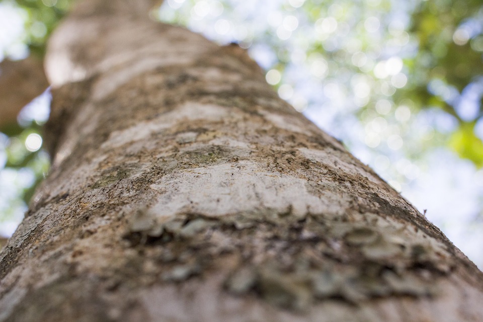 How to Achieve a Better Work-Life Balance