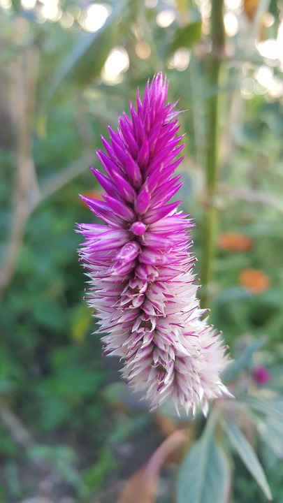 The Skills Gap: How to Prepare for the Future of Work