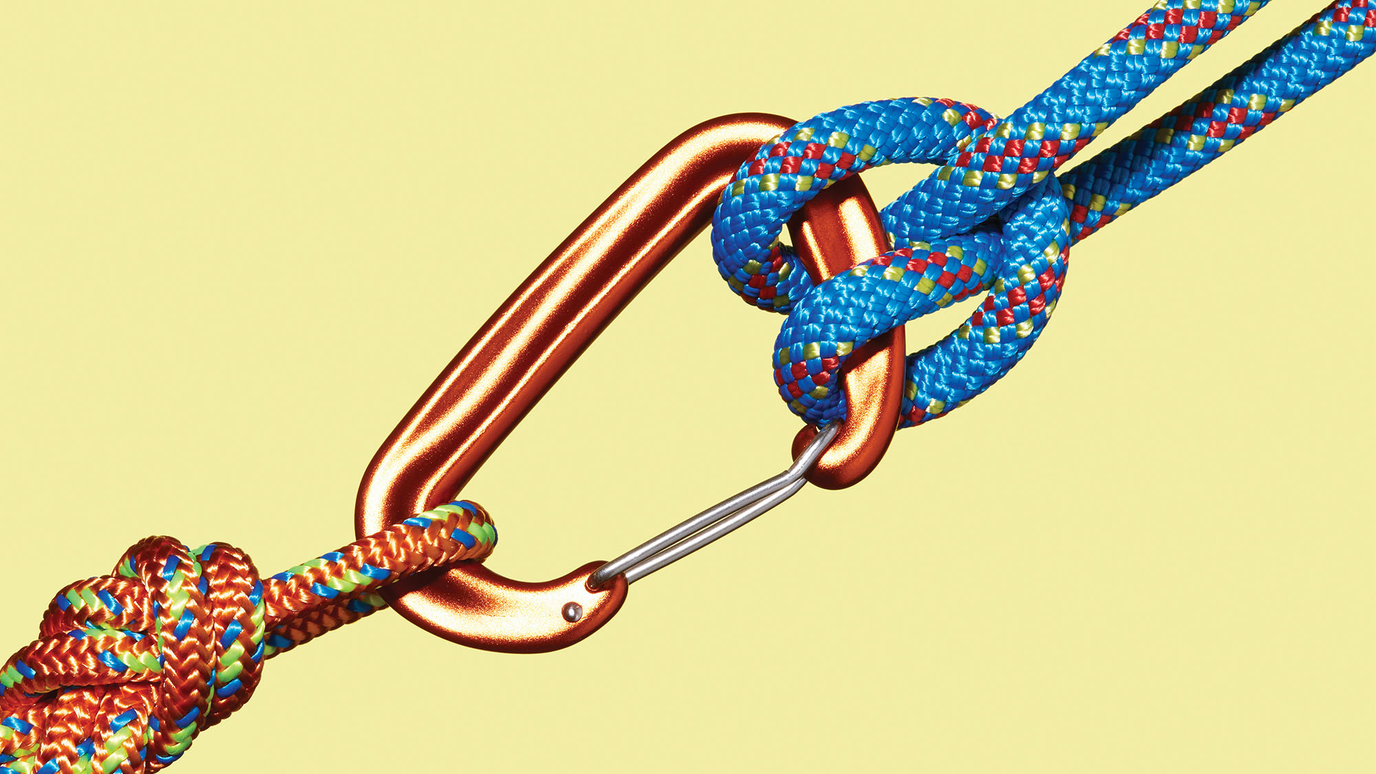 Unlocking Value in Founder-Investor Partnerships