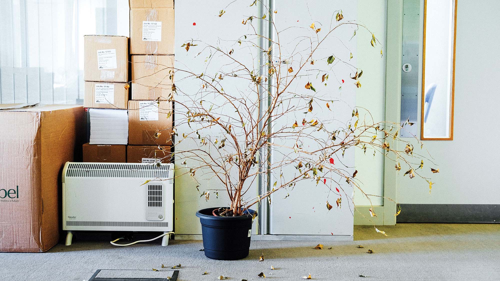 How to Strengthen Company Culture in a Remote Work Era