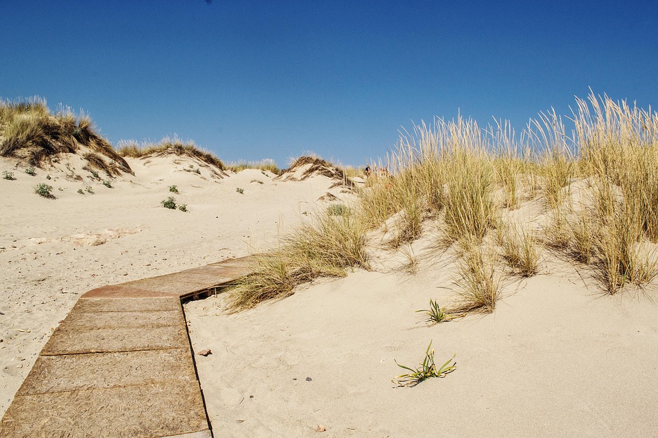 Breaking Down Barriers: The Transformative Power of Leadership in Overcoming Obstacles