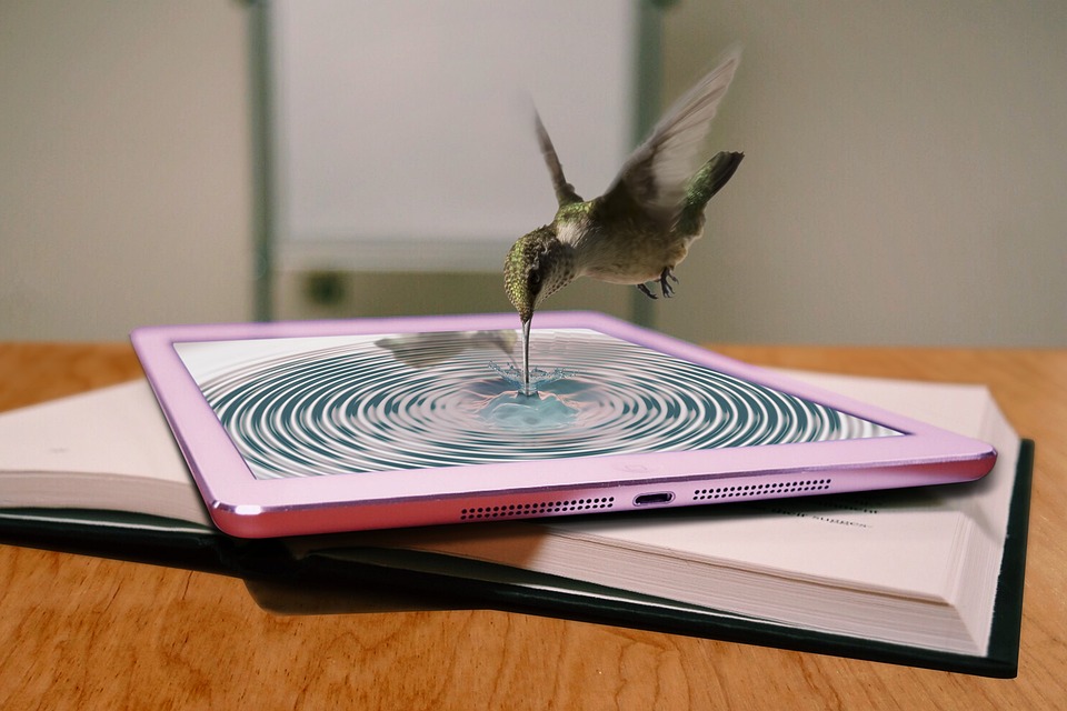 From Burnout to Balance: Mastering Workplace Stress Management