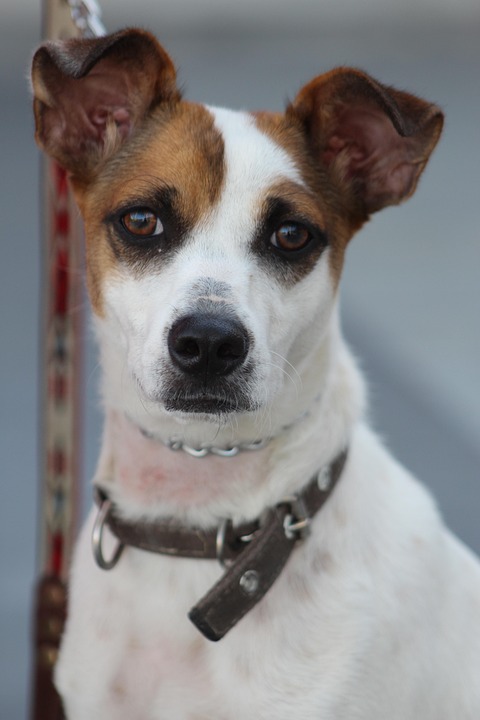 Future-Proof Your Team: The Importance of Upskilling in a Changing Job Market