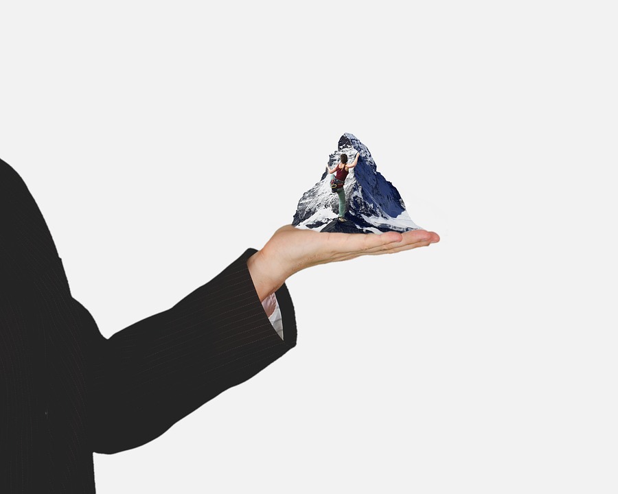 Growing Leaders from Within: The Advantages of Internal Leadership Development Programs