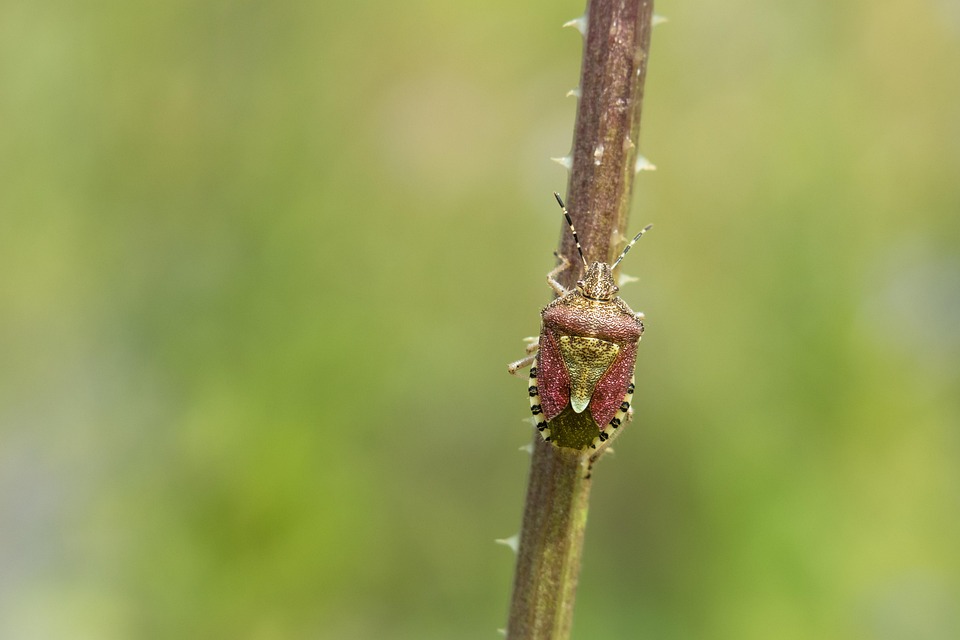 Stay Ahead of the Curve: Upskilling for the Industries of Tomorrow