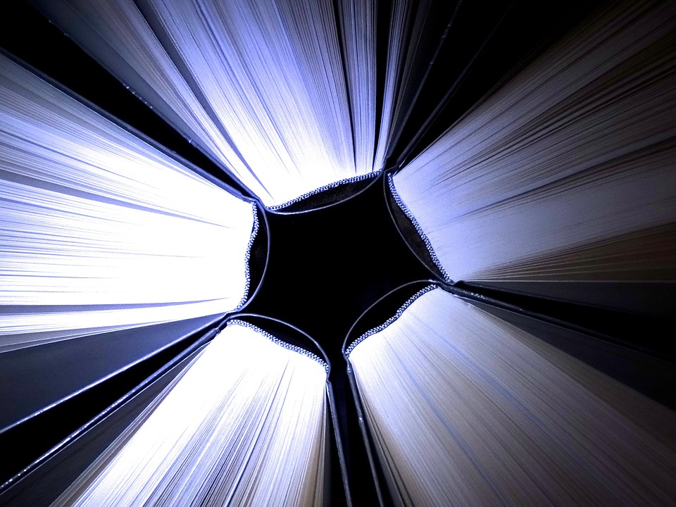 Transforming Leaders, Transforming Organizations: The Impact of Effective Development Programs