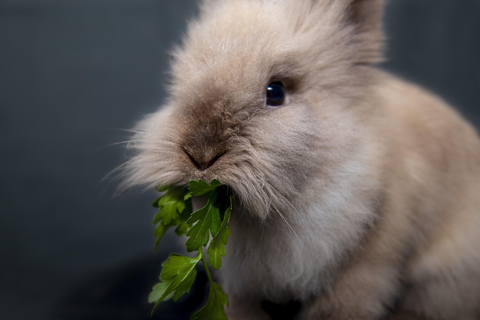 Beyond Philanthropy: How Companies Are Using Social Impact Programs to Drive Business Growth