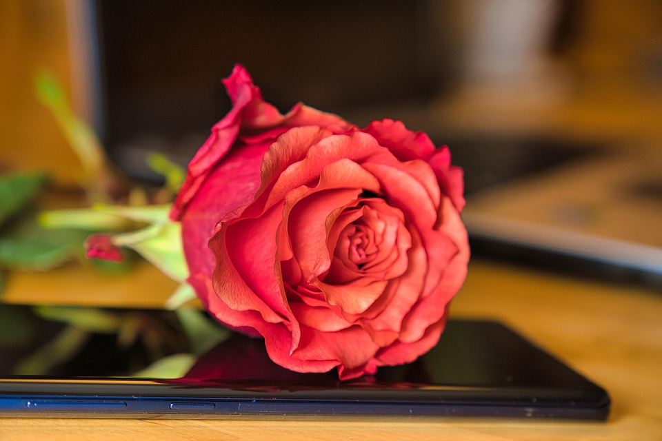 Career Crossroads: Navigating Change and Finding Opportunity in Uncertainty