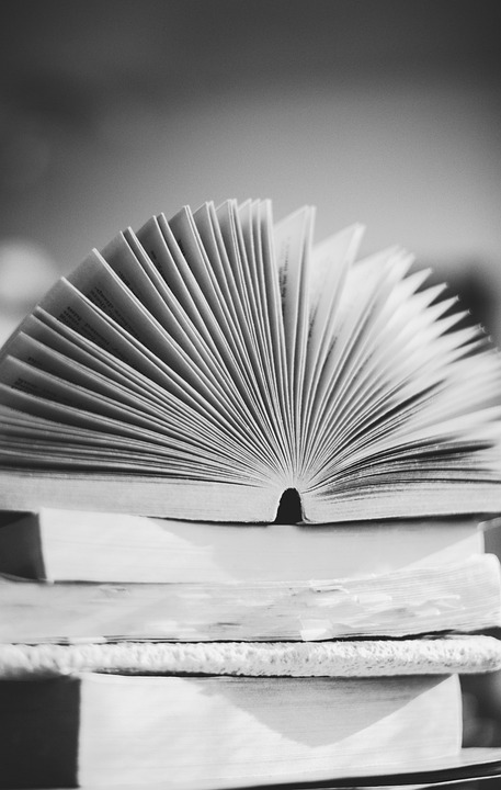 Measuring Success: How to Evaluate the Effectiveness of Your Employee Training Programs