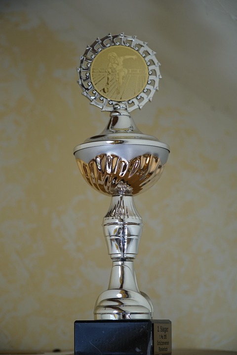 The Tech-Enabled Leader: Strategies for Success in a Rapidly Changing World