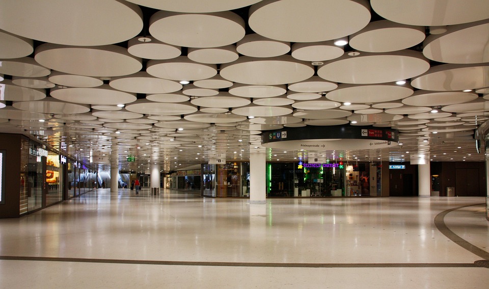 Unleashing the Power of Volunteers: Stories of Transformation and Growth