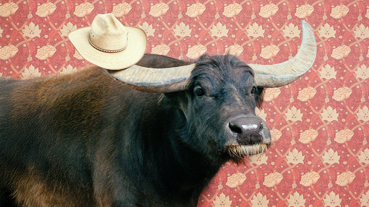 When “Yes, and…” Backfires