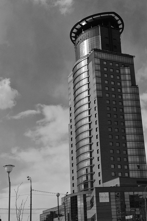 Accessibility and Employee Engagement: The Surprising Connection