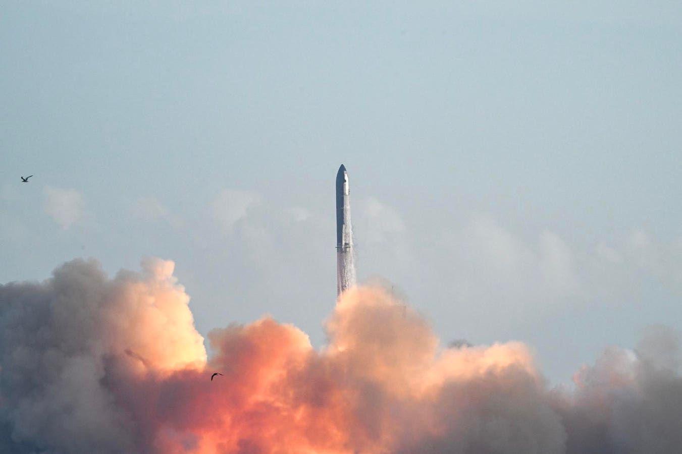 What Starship’s Success Means For SpaceX’s Future