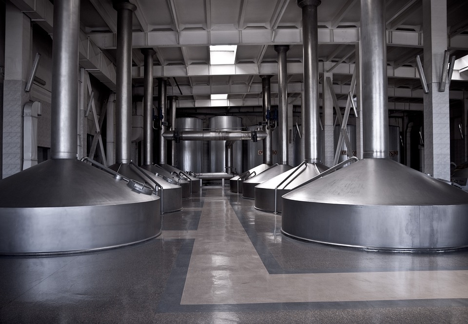 Social Innovation in Action: Real-World Examples of Positive Change