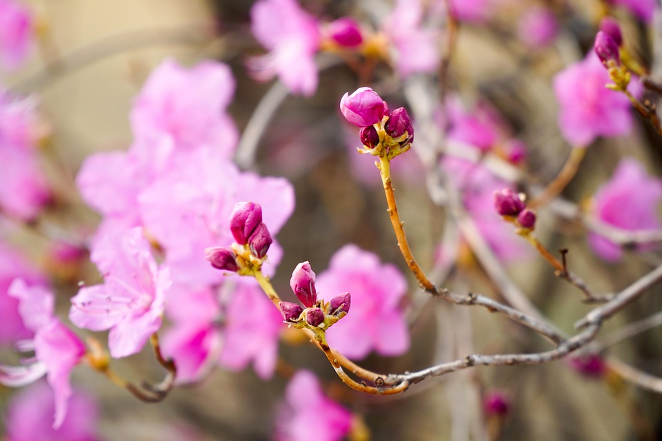 Strategic Giving: How Companies Can Use Data to Inform Their Philanthropic Decisions