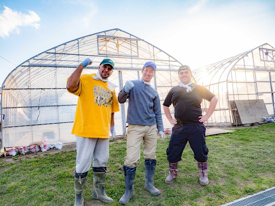 Unlocking Business Potential: The Role of Upskilling in Driving Growth, Innovation, and Success