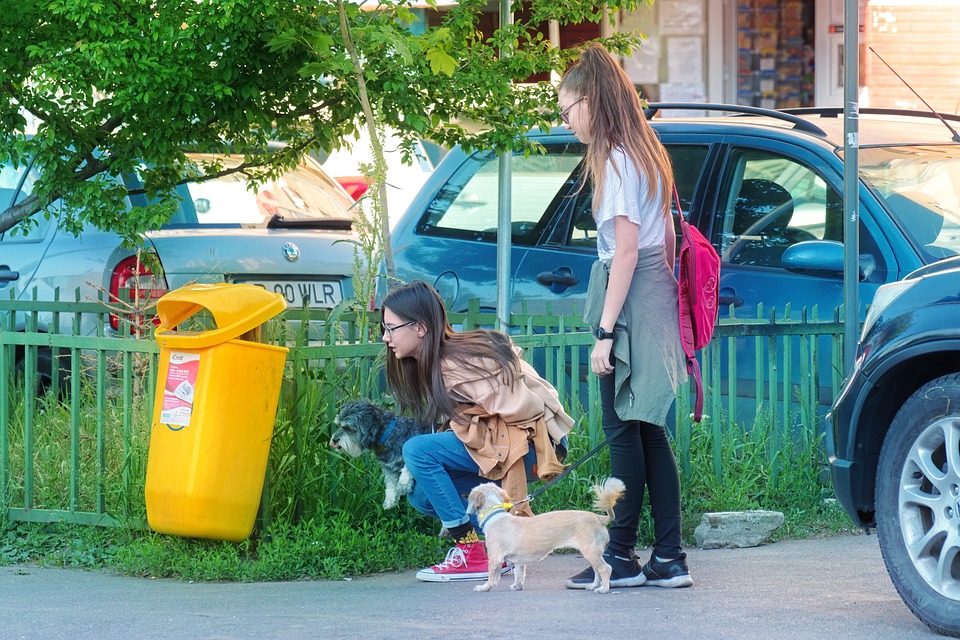 Strategic planning and decision making