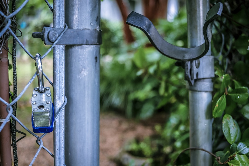 The Automation of Everything: How AI is Changing the Way We Live and Work