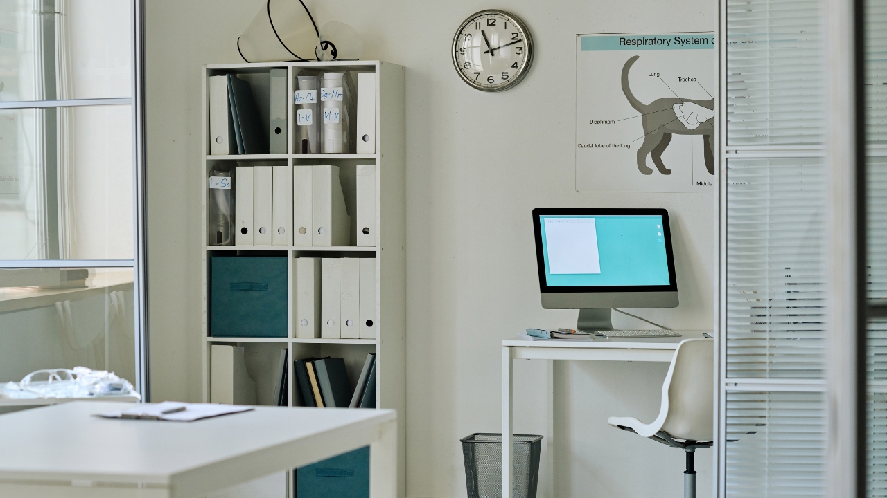 Feedback Culture in the Workplace and Its Influence on Employee Performance and Engagement