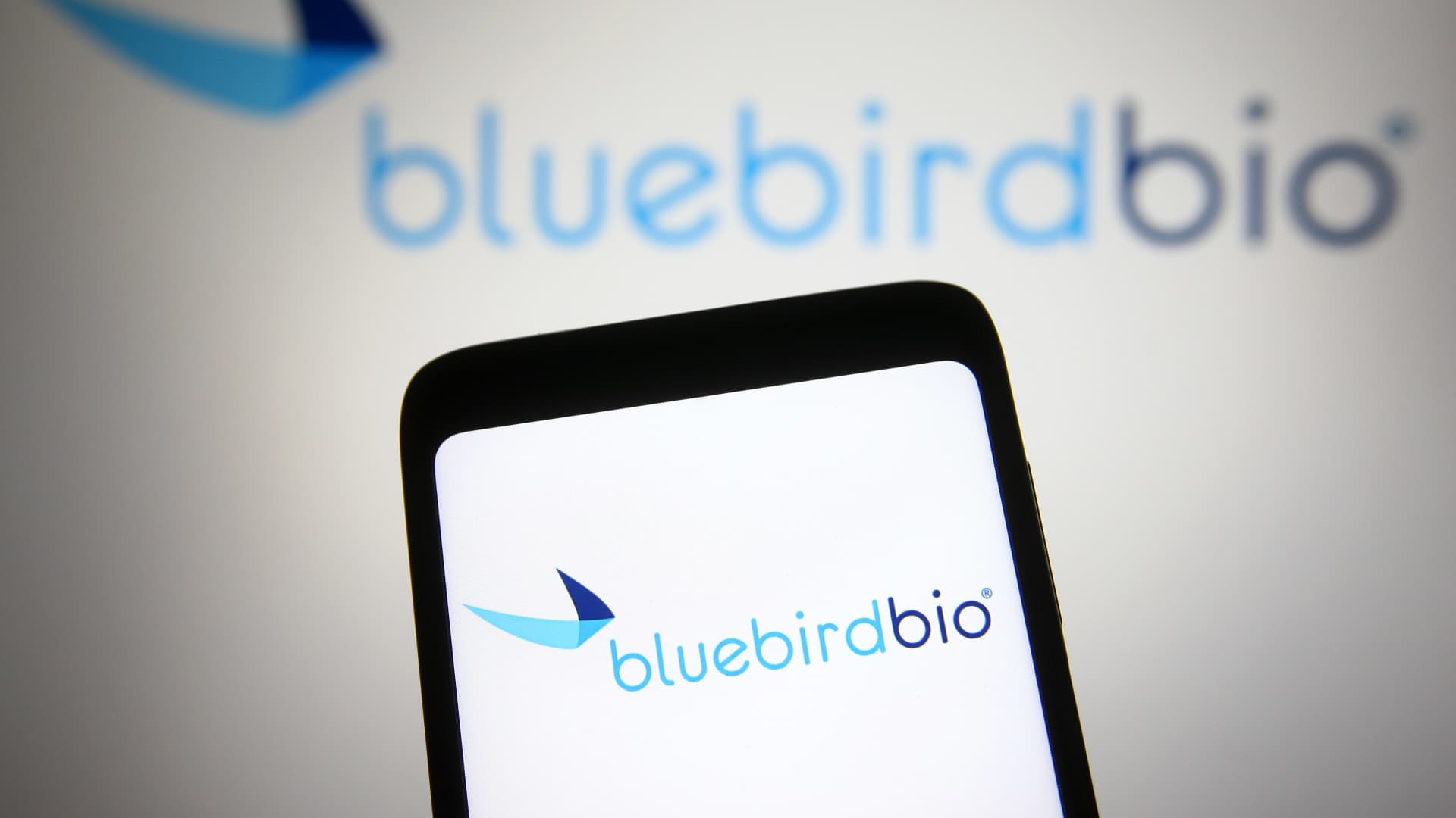 Bluebird Bio Gene Therapy Sells Itself to Carlyle and SK Capital