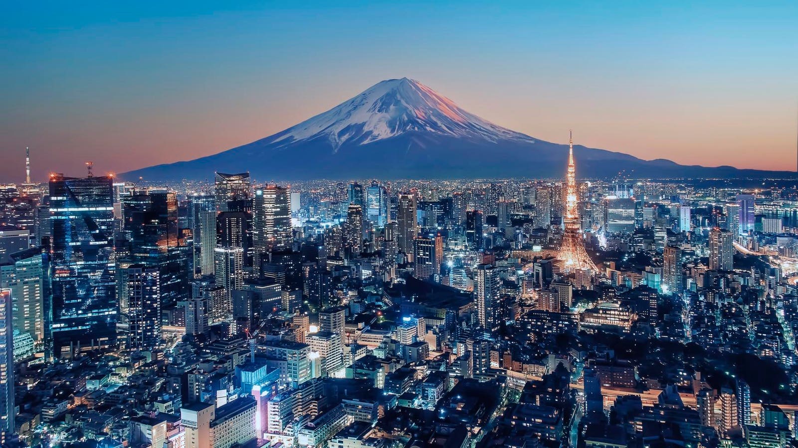 IEEE Honors Event at Osaka Expo Features NARO’s Electric Fish Finder IEEE Honors Event at Osaka Expo Features NARO’s Electric Fish Finder